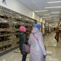 Платформа Спортивной :: Татьяна Лютаева