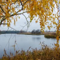 Что стоишь качаясь.. :: Галина Ложечникова