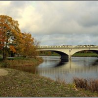 *** :: Aleksandr Gal