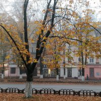 *** :: Валентина Береснева