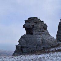 Природа Крыма :: Amazing Cosmea