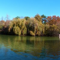 Пейзажи  Гагаринского  парка :: Валентин Семчишин