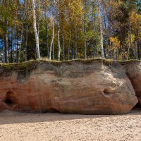 *** :: Геннадий Порохов