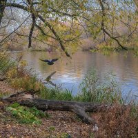 Берег... :: Влад Никишин