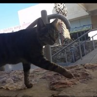 114 (89) :: CLOSE WAYS ALL