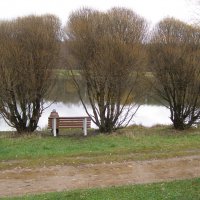 Легкая грусть :: Анна Воробьева