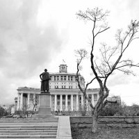 Черно-белая фотография :: Любимова Ольга 