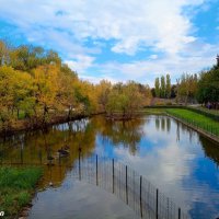 Октябрь в ростовском зоопарке :: Нина Бутко Октябрь в ростовском зоопарке :: Нина Бутко