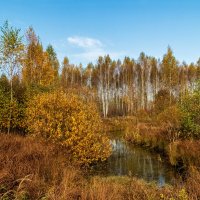 Осеннее утро 5 :: Андрей Дворников