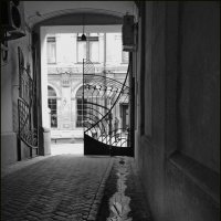 Когда ворота не закрыты... :: Наталья Rosenwasser