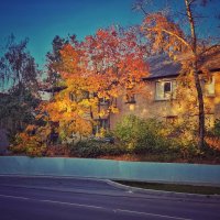 ***** :: Алексей Архипов