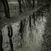 Осенняя канавка... :: Наталья Rosenwasser