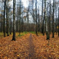 Глубокая осень в Москве :: Андрей Лукьянов