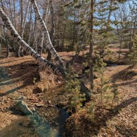 Тишина. :: Андрей Хлопонин Тишина. :: Андрей Хлопонин