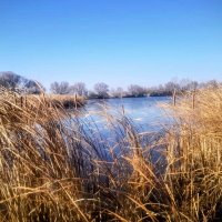 Золото осени :: Георгиевич 