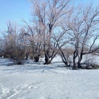 Зимний день :: Георгиевич 