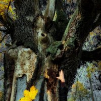 Из Иннокентия Анненского :: Victor Vinocurov