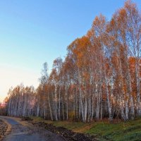 Дорога в прекрасное далёко! :: Елена Хайдукова ( Elena Fly )