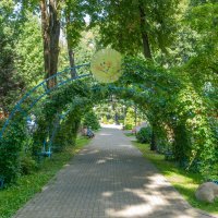 ___ :: Yuriy V ___ :: Yuriy V