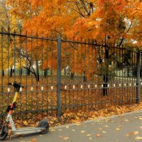 И добрались почти до Ноября. :: Татьяна Помогалова И добрались почти до Ноября. :: Татьяна Помогалова