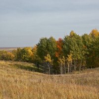 Осень :: MILAV V