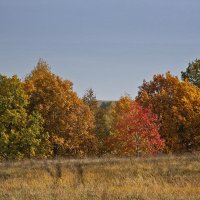 Краски осени :: MILAV V