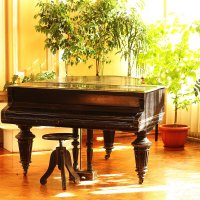 Второй рояль :: Юрий Гайворонскiий