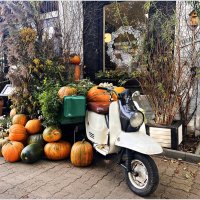 Осенние украшения :: Валерия Комова