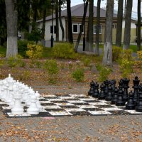 Владимирская область. Город Александров. :: Наташа *****