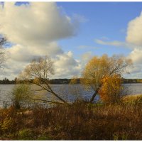 Октябрь уходит.... :: Aleksandr Gal