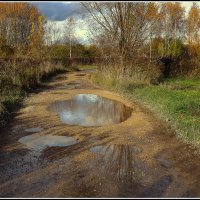 После дождя.... :: Aleksandr Gal