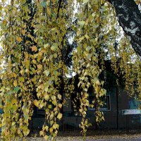 *** :: Валентина Береснева