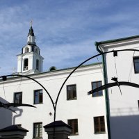 АИСТЫ - СИМВОЛ БЕЛАРУСИ :: Елена Даньшина