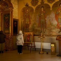 "-" :: Светлана Фокша