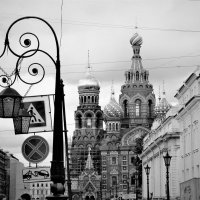 /// :: Виктор Никитенко