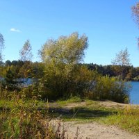 Побережье лесного озера :: Рита Симонова