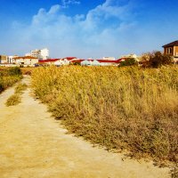 Камыш :: Анатолий Чикчирный