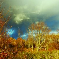 Грозная туча над городом :: Aida10 Грозная туча над городом :: Aida10