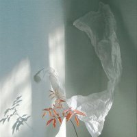 Последняя веточка :: Валентина 