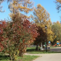 Мой город :: Венера Чуйкова