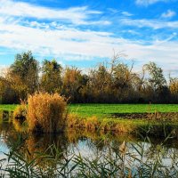 Октябрь. :: Владимир 