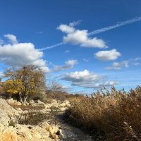 Около маяка :: Оксана Новик 