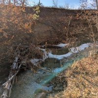 Течет речка в лесу :: Андрей Хлопонин Течет речка в лесу :: Андрей Хлопонин