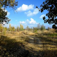 Осенняя дорога :: Natali 