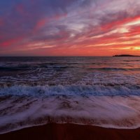 **** :: Виталий Емельянов