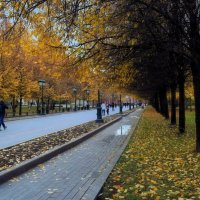 Октябрь уходит, оставляя нам яркие краски Осени. :: Татьяна Помогалова Октябрь уходит, оставляя нам яркие краски Осени. :: Татьяна Помогалова