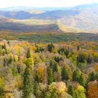 * :: Юрий Словецкий