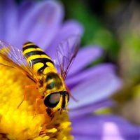 *   *   * :: Уже не важно 