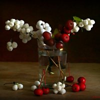 На пороге ноября... :: Андрей Заломленков