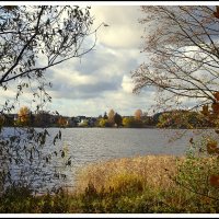 *** :: Aleksandr Gal